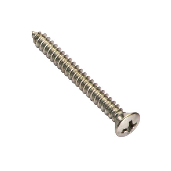 Champion 6G X 1In S/Tapping Screw Raised Head Slot - 100Pk | Bulk Packs - Slotted-Fasteners-Tool Factory